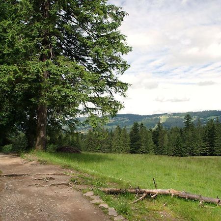 Domek Sekret Zakopane Extérieur photo